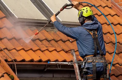 Démoussage et hydrofuge de toiture à Fontannes